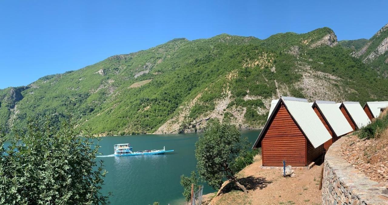 5 Stinet Koman
